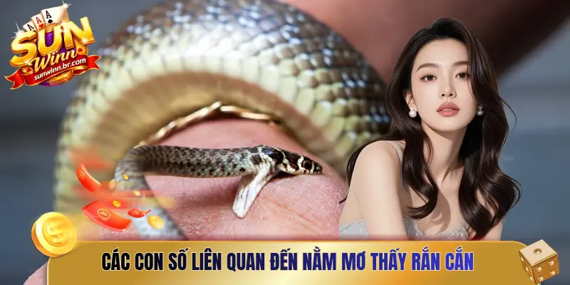 Các con số liên quan đến nằm mơ thấy rắn cắn