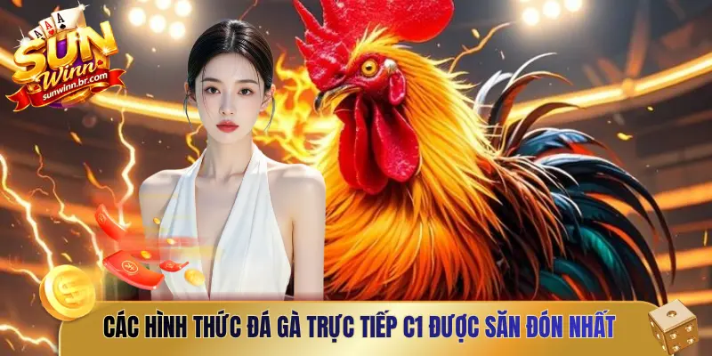Các hình thức đá gà trực tiếp C1 được săn đón nhất