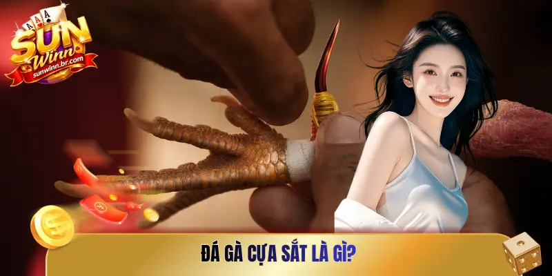 Đá gà cựa sắt là gì?