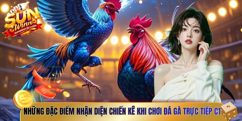 Những đặc điểm nhận diện chiến kê khi chơi đá gà trực tiếp C1