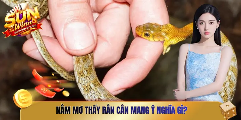 Nằm mơ thấy rắn cắn mang ý nghĩa gì?