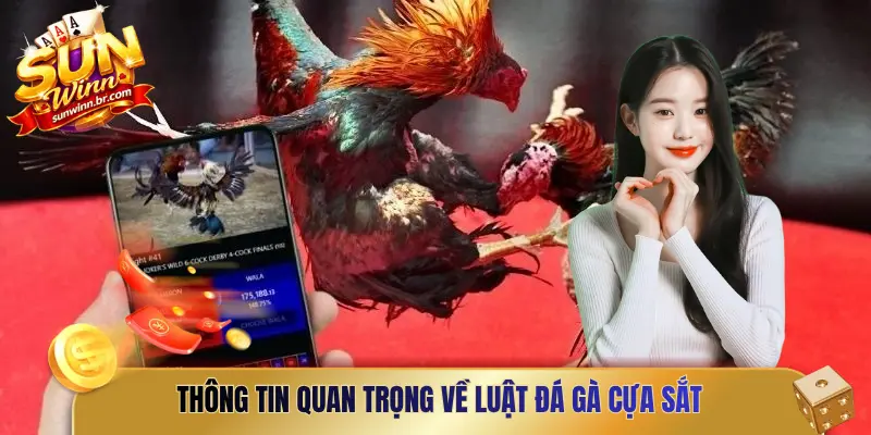 Thông tin quan trọng về luật đá gà cựa sắt