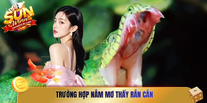 Trường hợp nằm mơ thấy rắn cắn
