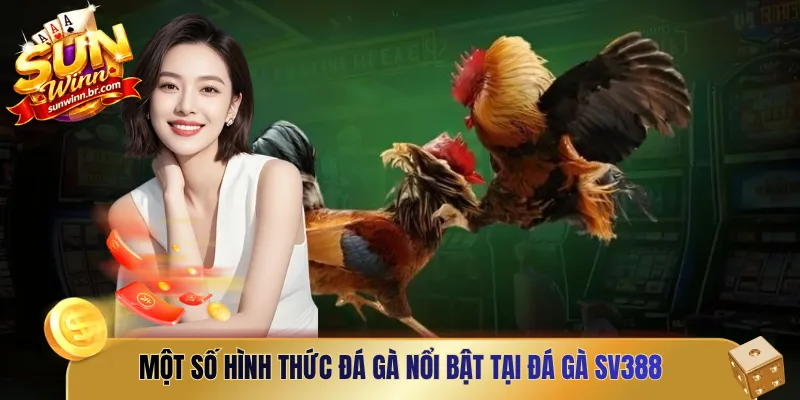 Một số hình thức đá gà nổi bật tại Đá gà SV388 